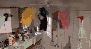 2.gif 2.gif